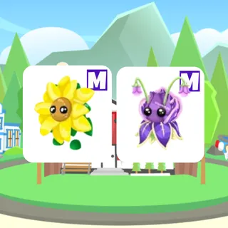 Mega Sunflower + Violet Friend