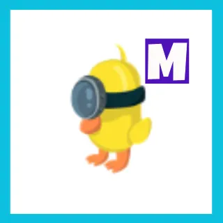 Zodiac Minion Chick