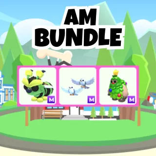 AM Bundle