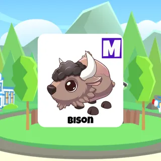 Bison