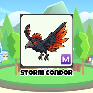 STORM CONDOR