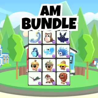 AM Bundle