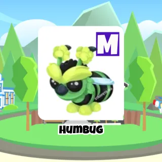 Humbug