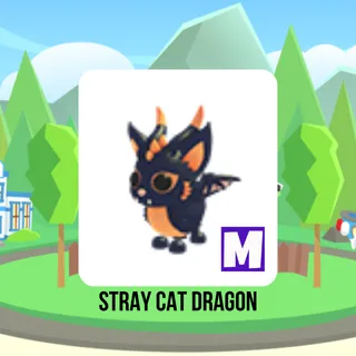 Stray Cat Dragon