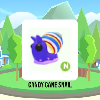 Candy Cane Snail