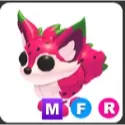 mfr dragon fruit fox