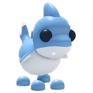 MFR Shark puppy