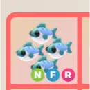 NFR MANY MACKEREL