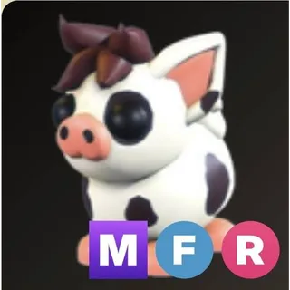 mfr mini pig 