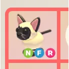 NFR SIAMESE CAT