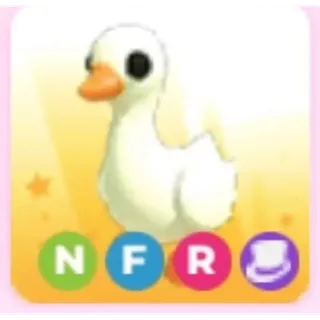 nfr goose