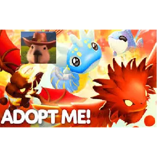 SUMMER PET BUNDLE