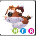 nfr munchkin cat