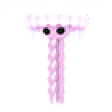 NFR jellyfish