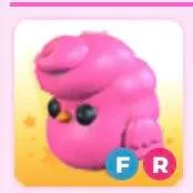 FR CANDY FLOSS CHICK