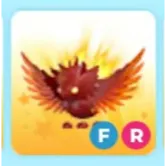 FR SOLARIS DRAGON