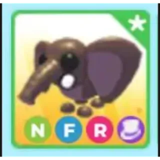 NFR ELEPHANT BUSH