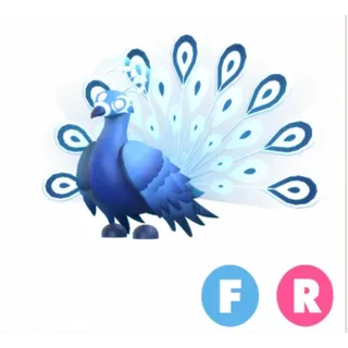 FR MOONBEAM PEACOCK 
