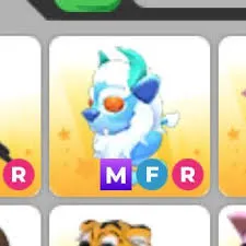 MFR HAETAE