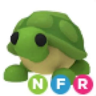 NFR Turtle