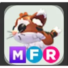 mfr munchkin cat