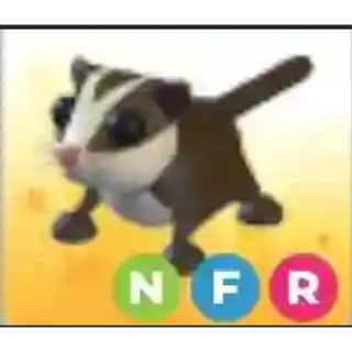 NFR SUGAR GLIDER