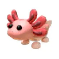 Axolotl