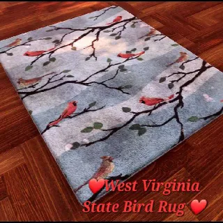 West Virginia Rug Plan