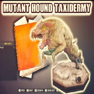 Mutant Hound Taxidermy