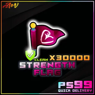 X30000 Strength Flag