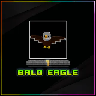 Bald Eagle