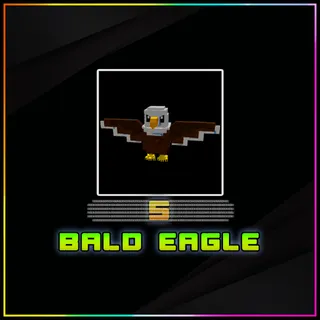 Bald Eagle