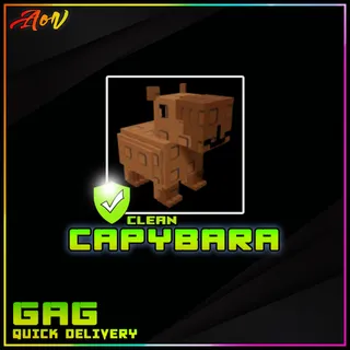 Capybara