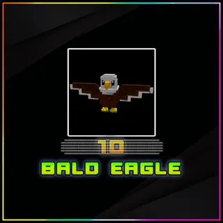 Bald Eagle