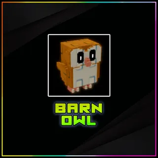 Barn Owl Grow a Garden