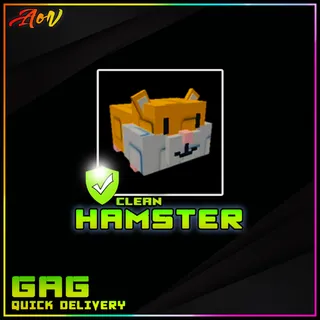 Hamster
