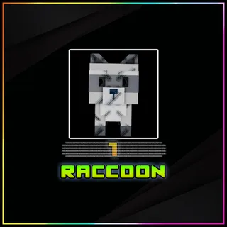 Raccon