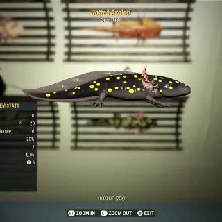Dotted Axolotl