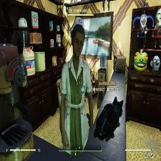 Forest Asylum Uniform.