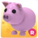 R PIG