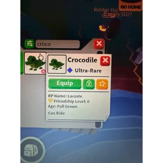 Crocodile