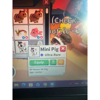 Mini Pig