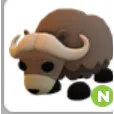Musk OX N