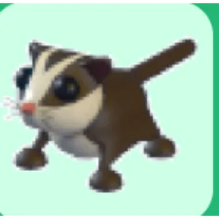 SUGAR GLIDER FR