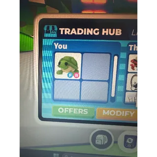 Turtle