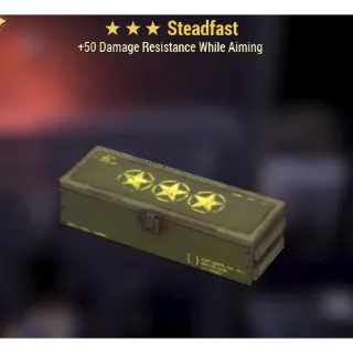 5x steadfast mod