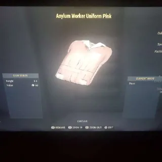 Asylum Worker Unform Pink