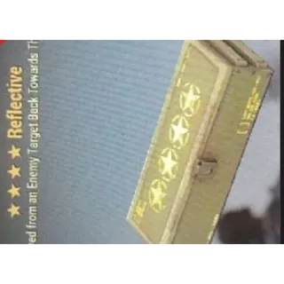 REFLECTIVE x10 MODS.