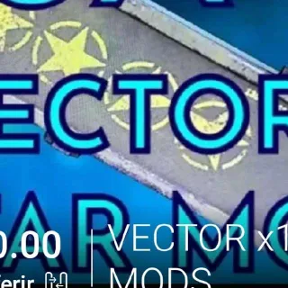 VECTOR x10 MODS