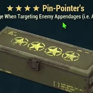 PIN-POINTER'S X10 Mods